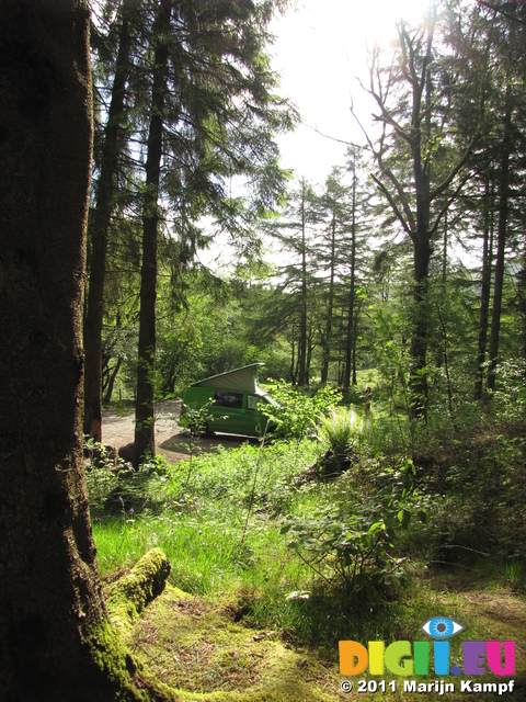 SX18173 Campervan in forrest in the morning